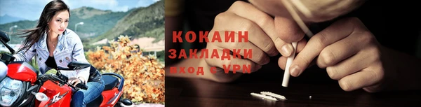 ПСИЛОЦИБИНОВЫЕ ГРИБЫ Бородино