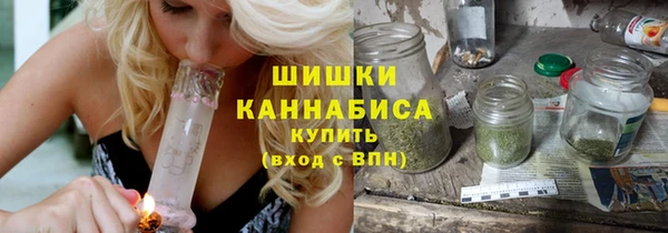 ПСИЛОЦИБИНОВЫЕ ГРИБЫ Бородино
