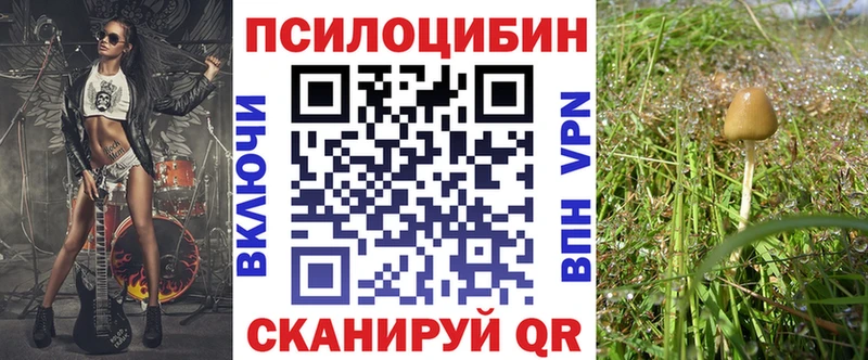 Псилоцибиновые грибы ЛСД  MEGA как войти  Высоковск 