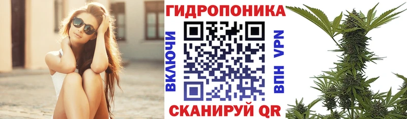 хочу   Высоковск  Канабис гибрид 
